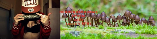 экстази Аркадак