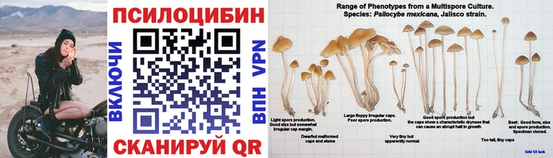 Галлюциногенные грибы прущие грибы  Белокуриха 