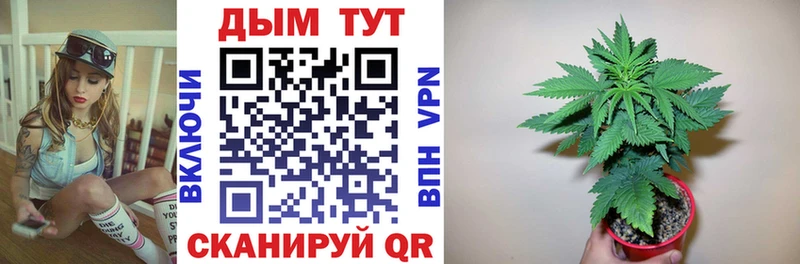 KRAKEN онион  Белокуриха  Бошки Шишки Bruce Banner 